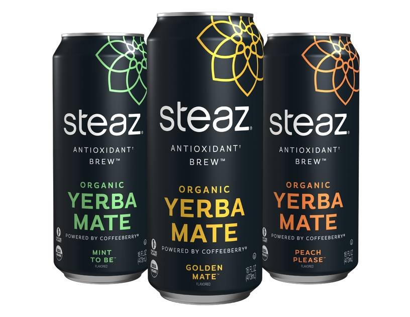 Steaz Antioxidant Brew Organic Peach Please Yerba Mate 16 Fl Oz, Shop