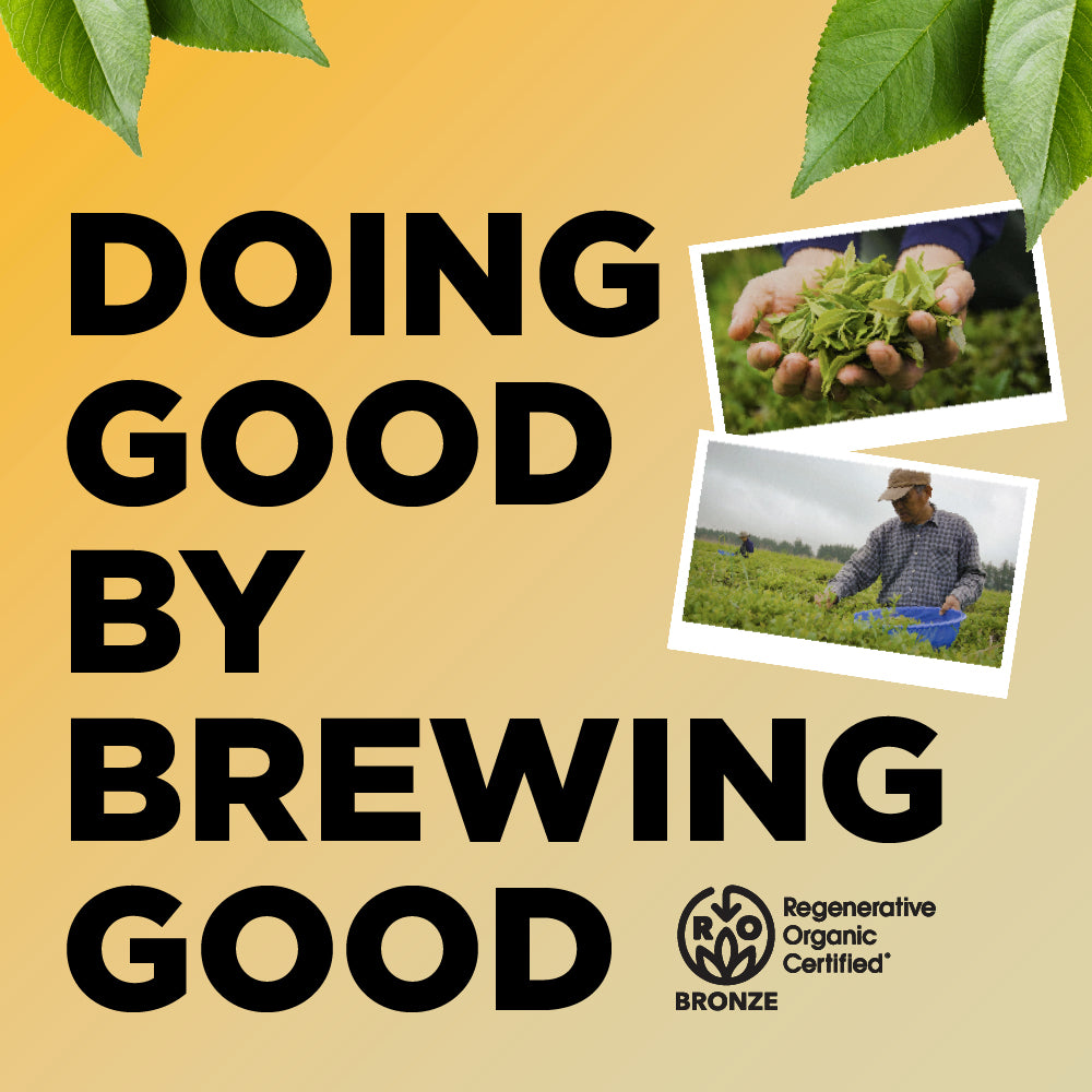 Zero Sugar - Half & Half