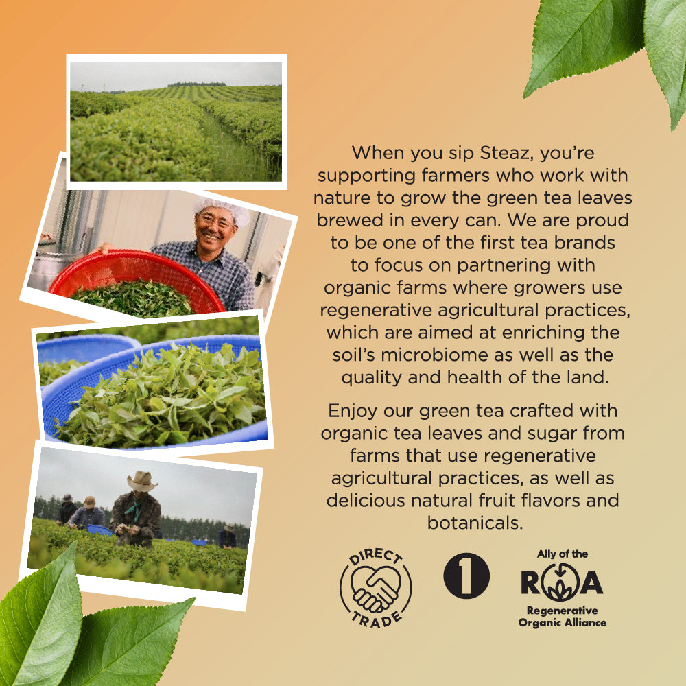 Zero Sugar - Peach Mango