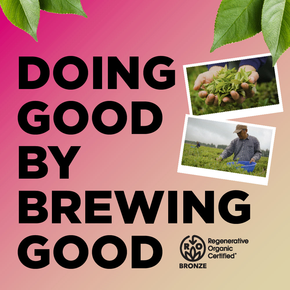 Zero Sugar - Raspberry