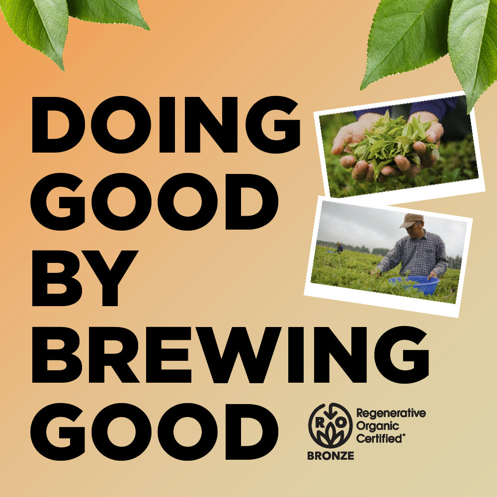 Zero Sugar - Peach Mango