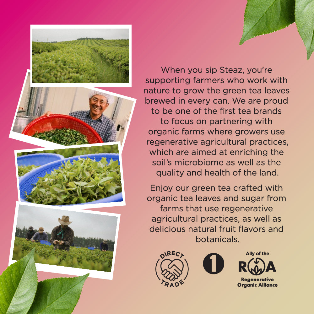 Zero Sugar - Raspberry