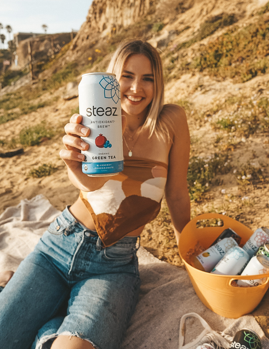 Blueberry Pomegranate