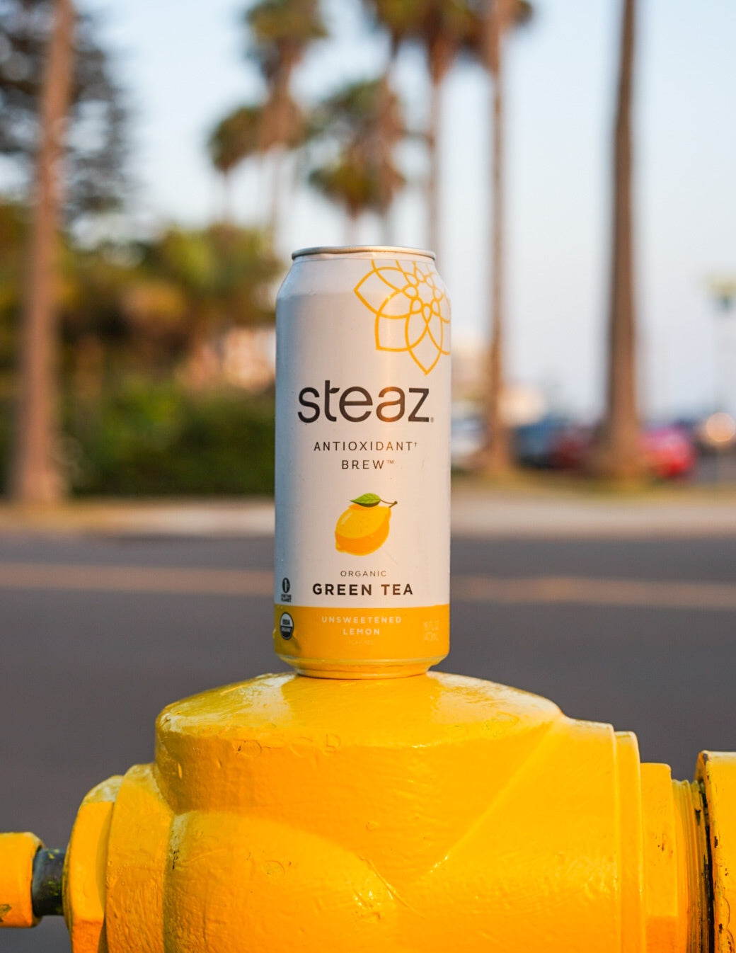 Unsweetened Lemon – Steaz