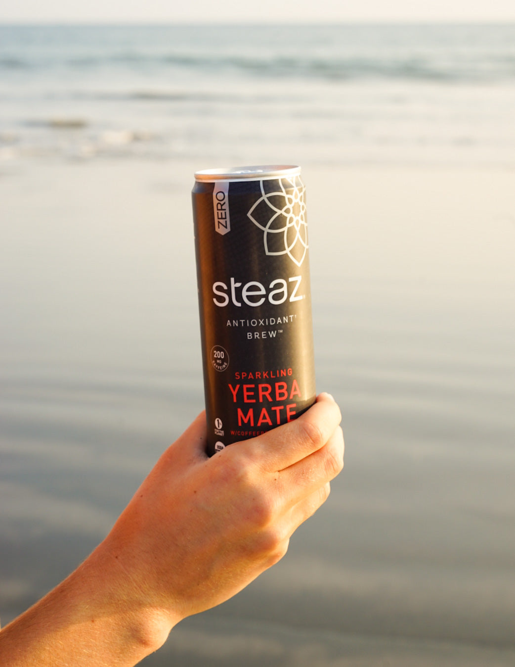 Sparkling Yerba Mate Antioxidant Brew - Steaz