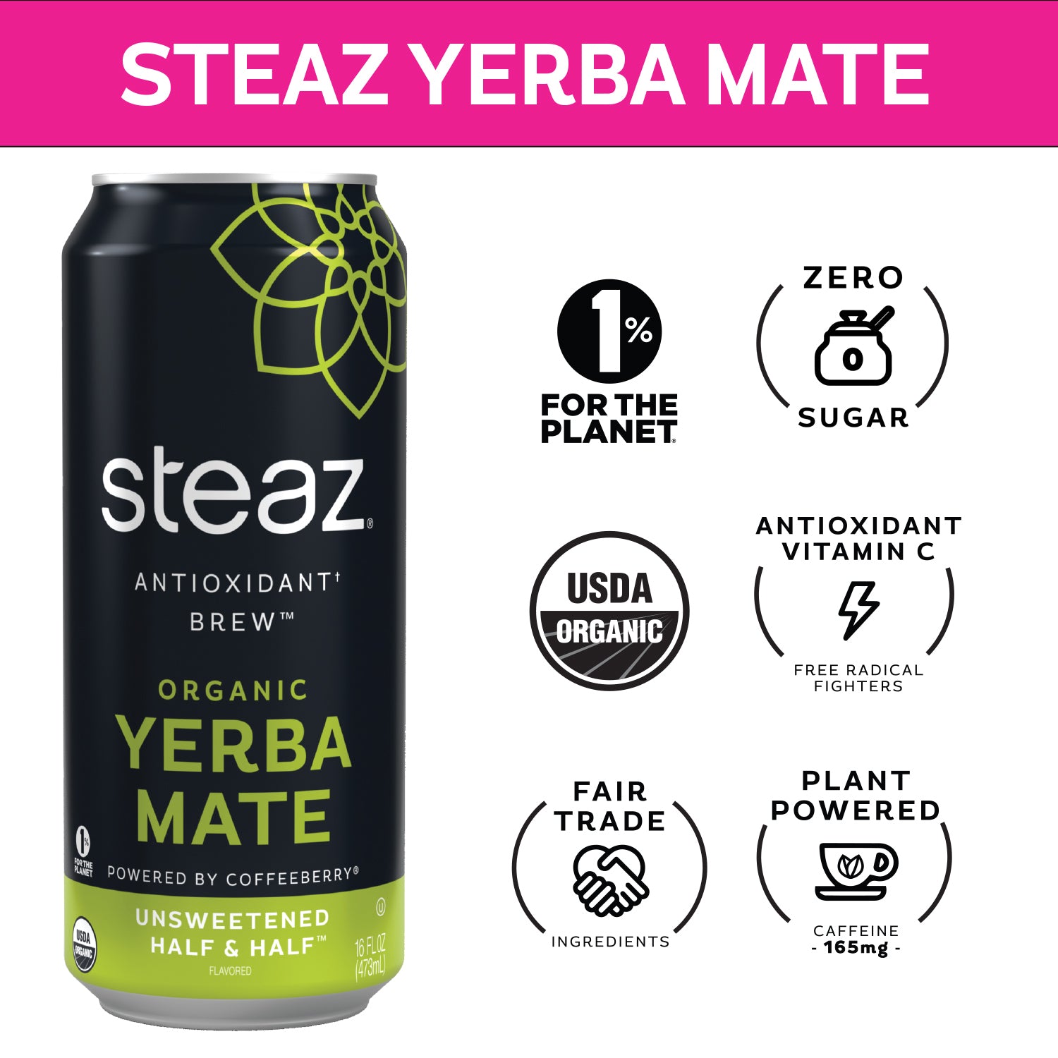 Steaz Organic Yerba Golden Mate Bev Drink Antioxidant Brew Case (12) 16oz  Cans